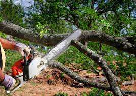 Best Weed Control  in Perry Hall, MD